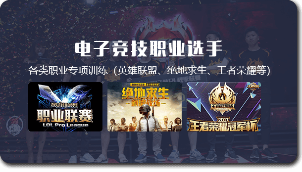 電子競技職業(yè)選手
